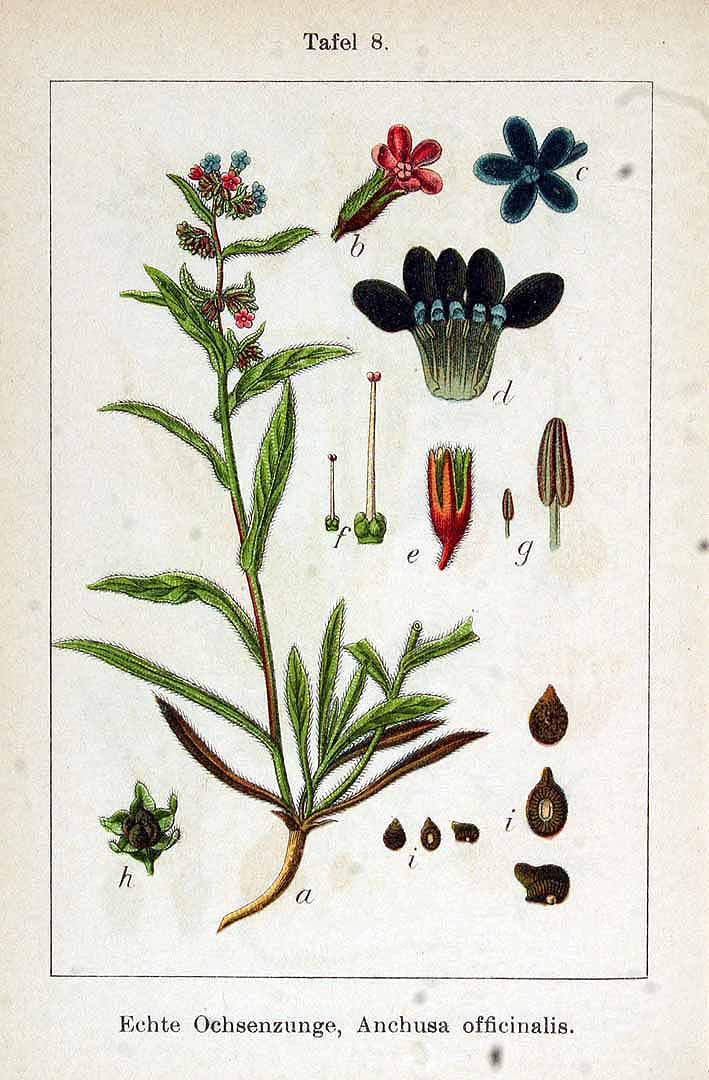 no HD illustration available (3)