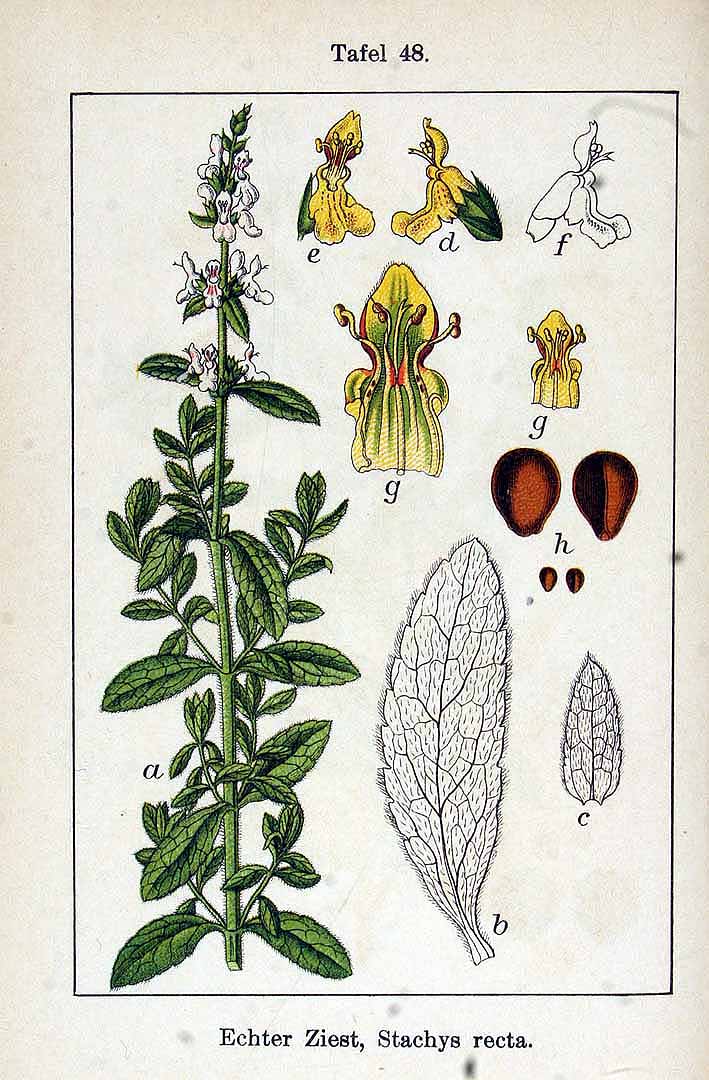 no HD illustration available (3)