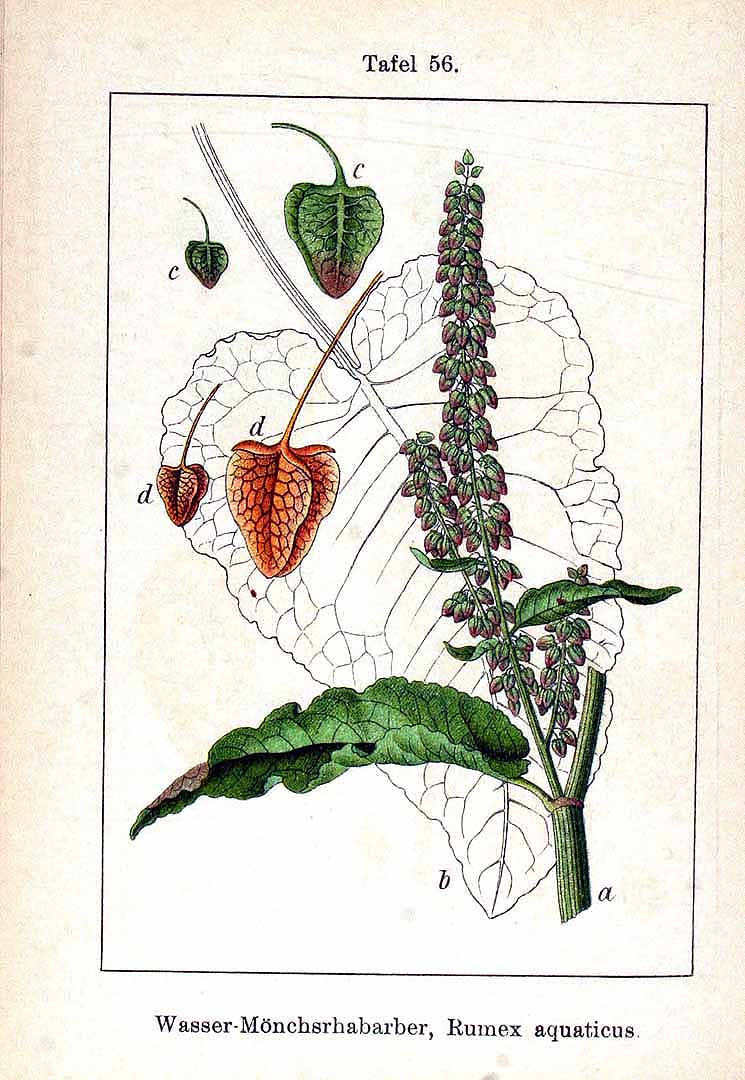 no HD illustration available (3)