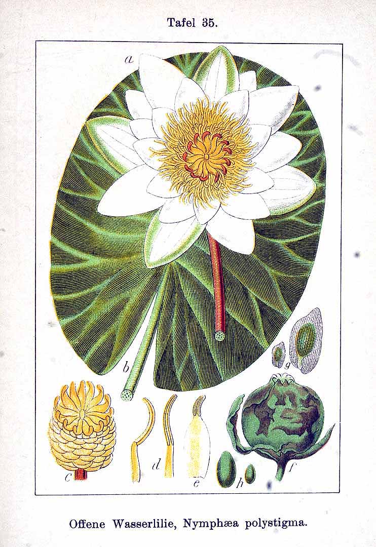 no HD illustration available (3)