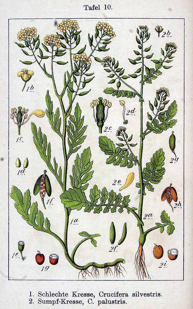 no HD illustration available (3)