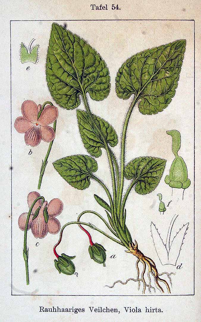 no HD illustration available (3)