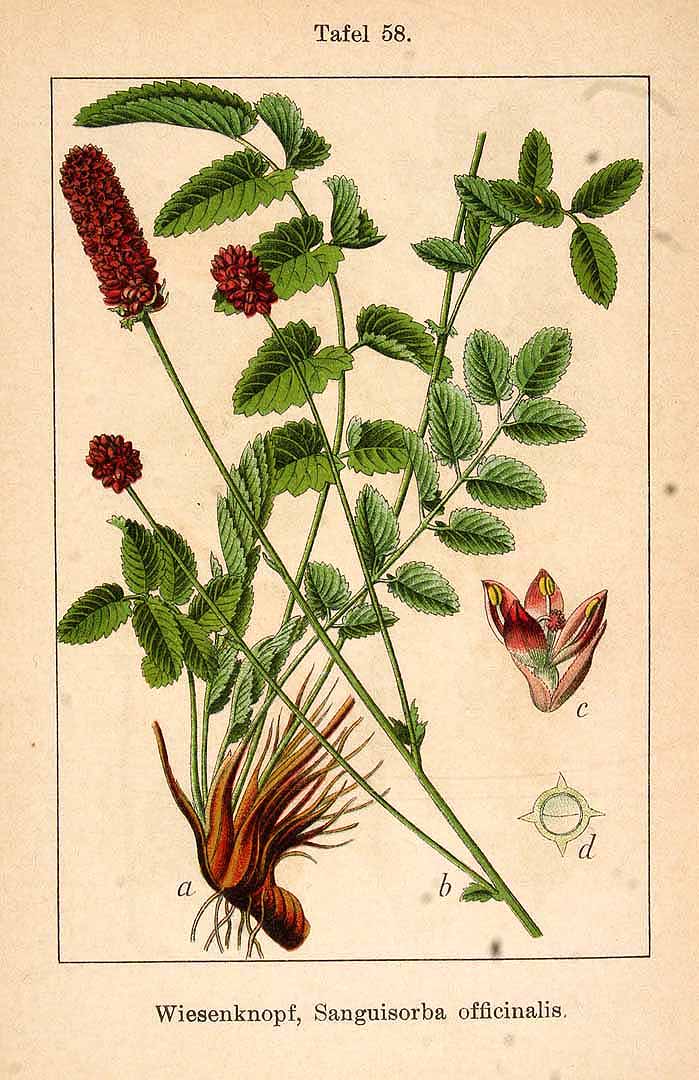 no HD illustration available (3)