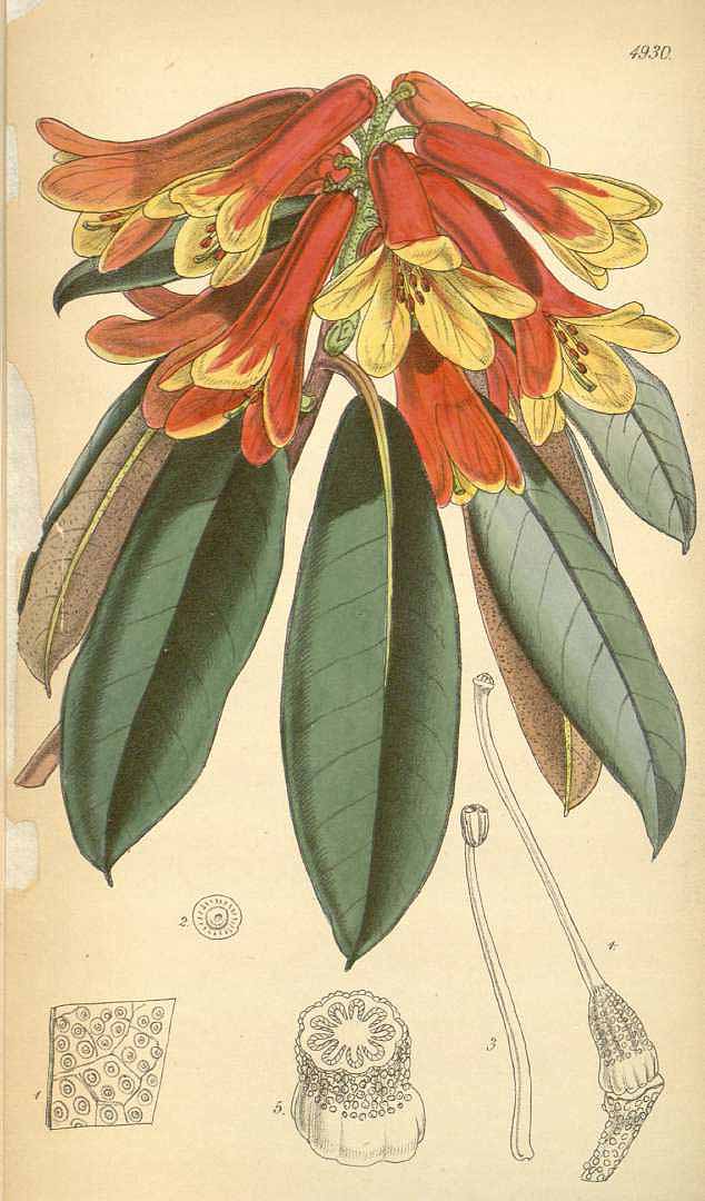 no HD illustration available (3)