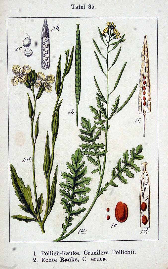 no HD illustration available (3)