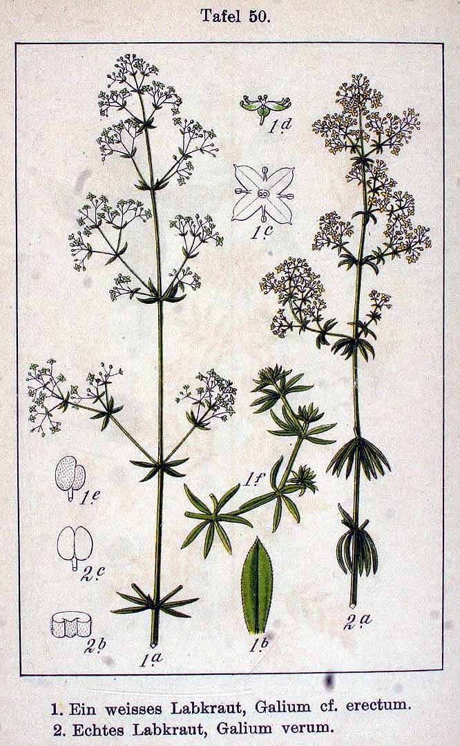 no HD illustration available (3)