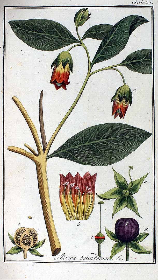 no HD illustration available (3)