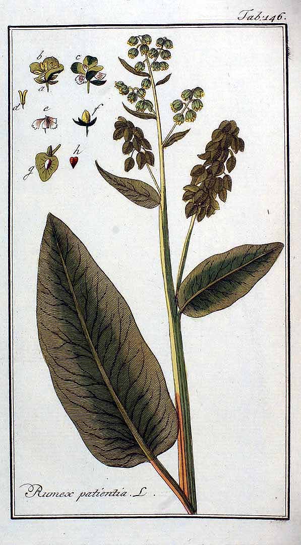 no HD illustration available (3)