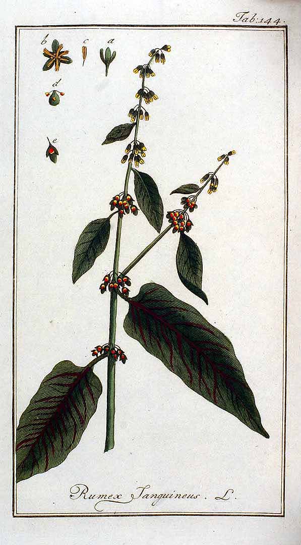 no HD illustration available (3)