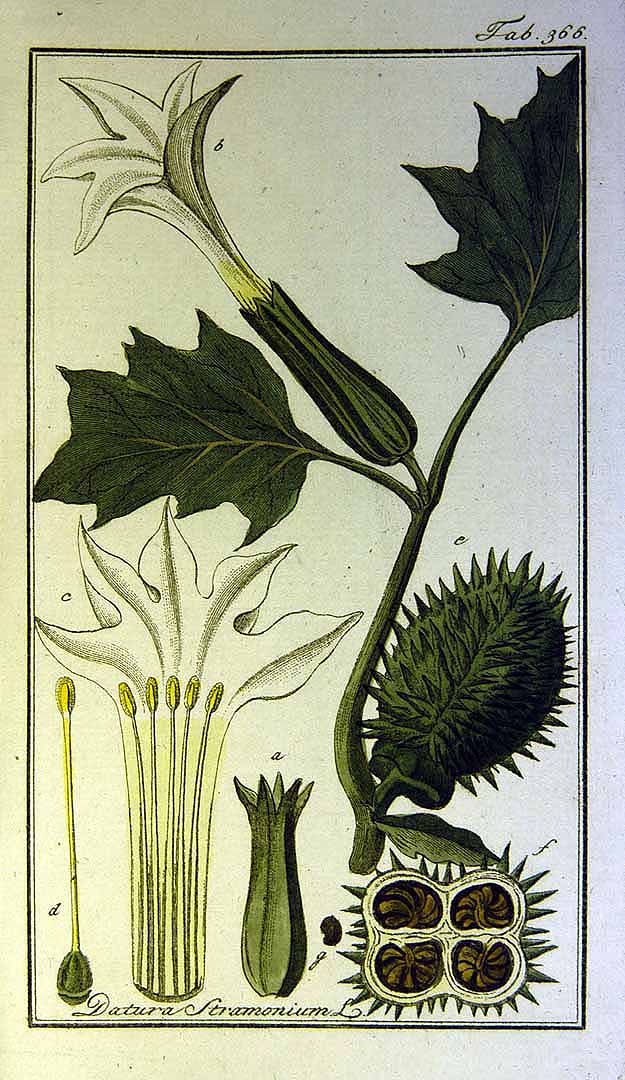 no HD illustration available (3)