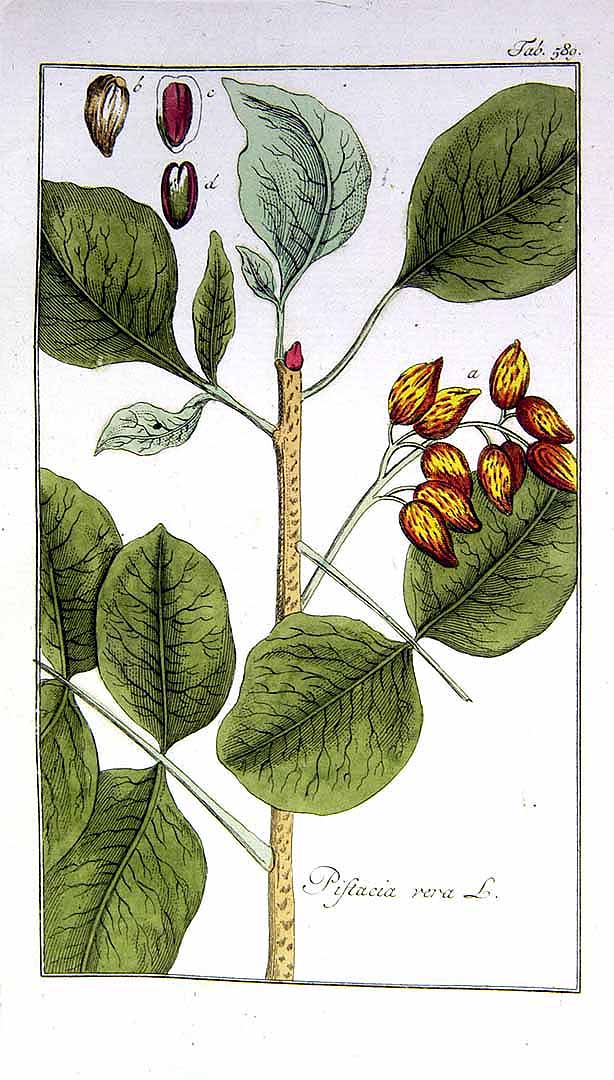 no HD illustration available (3)