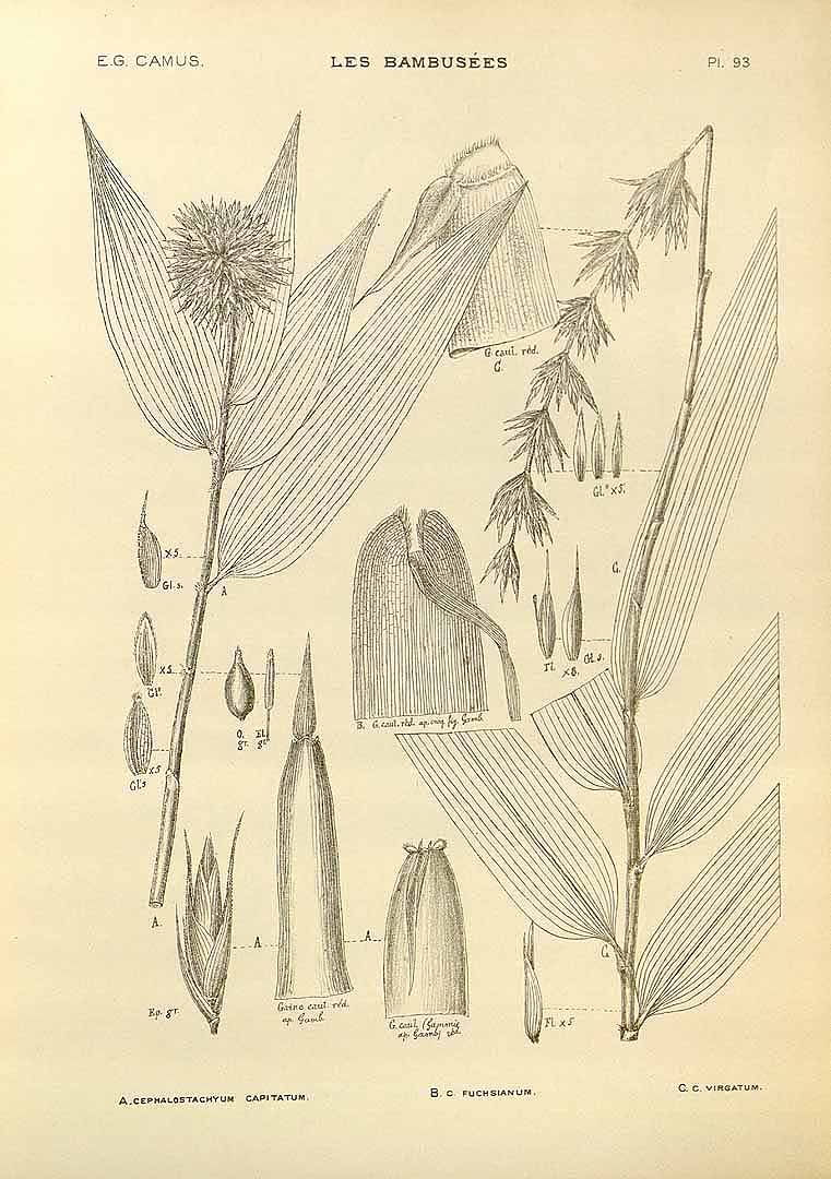 no HD illustration available (3)