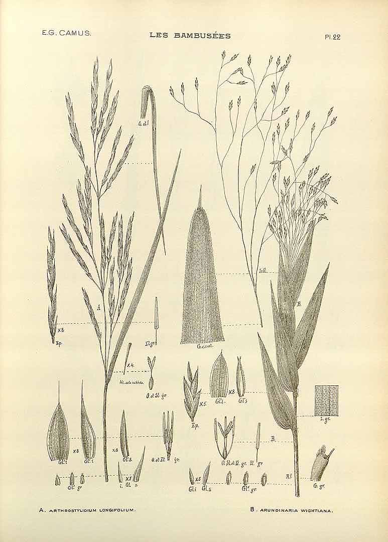 no HD illustration available (3)