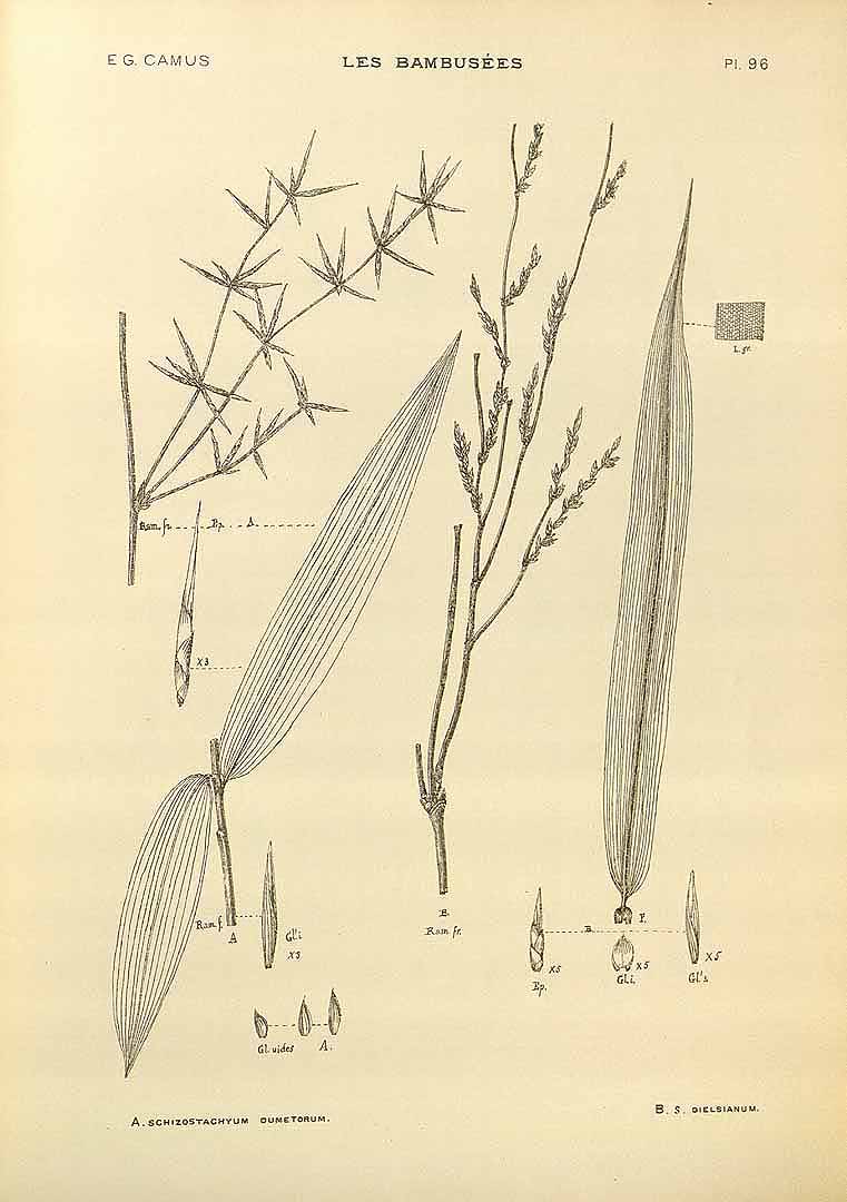 no HD illustration available (3)