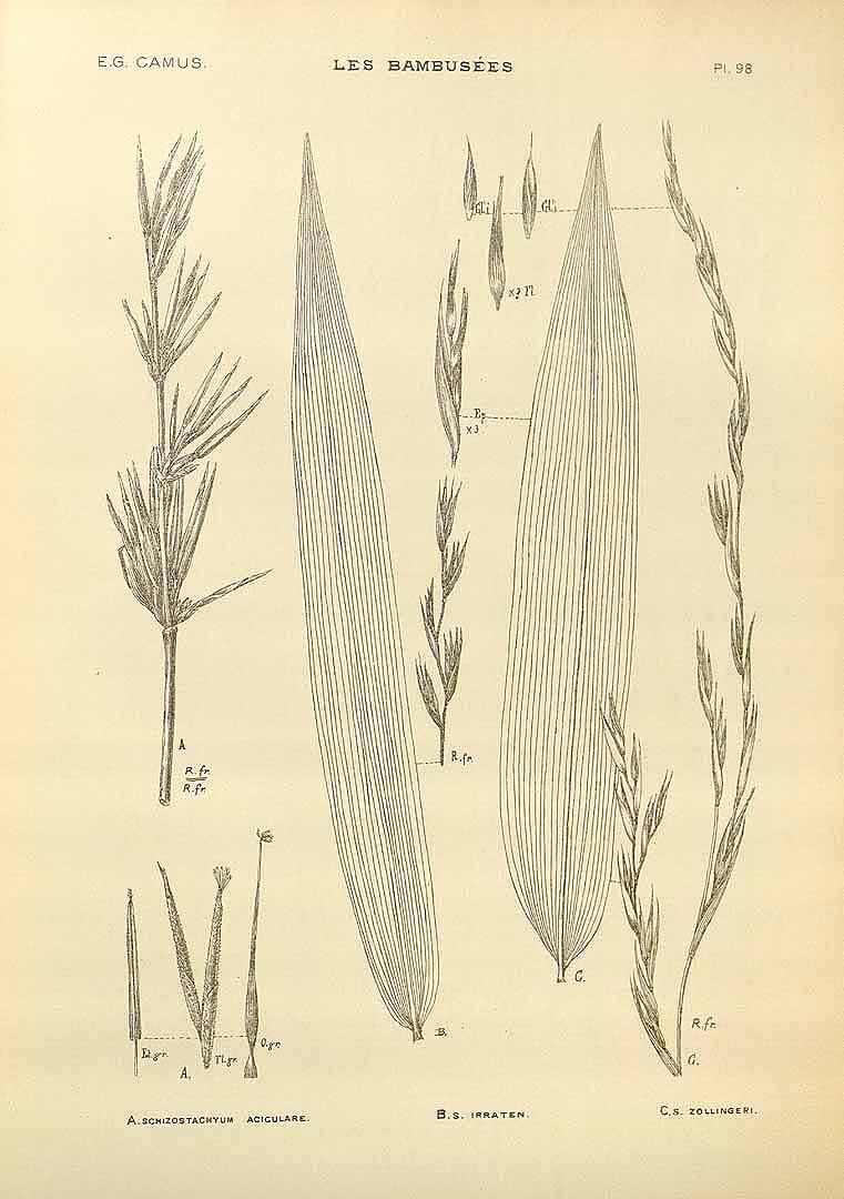 no HD illustration available (3)