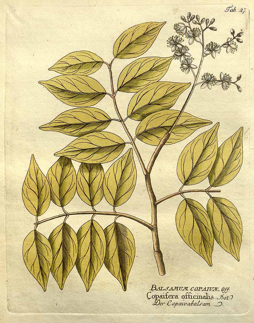 no HD illustration available (3)