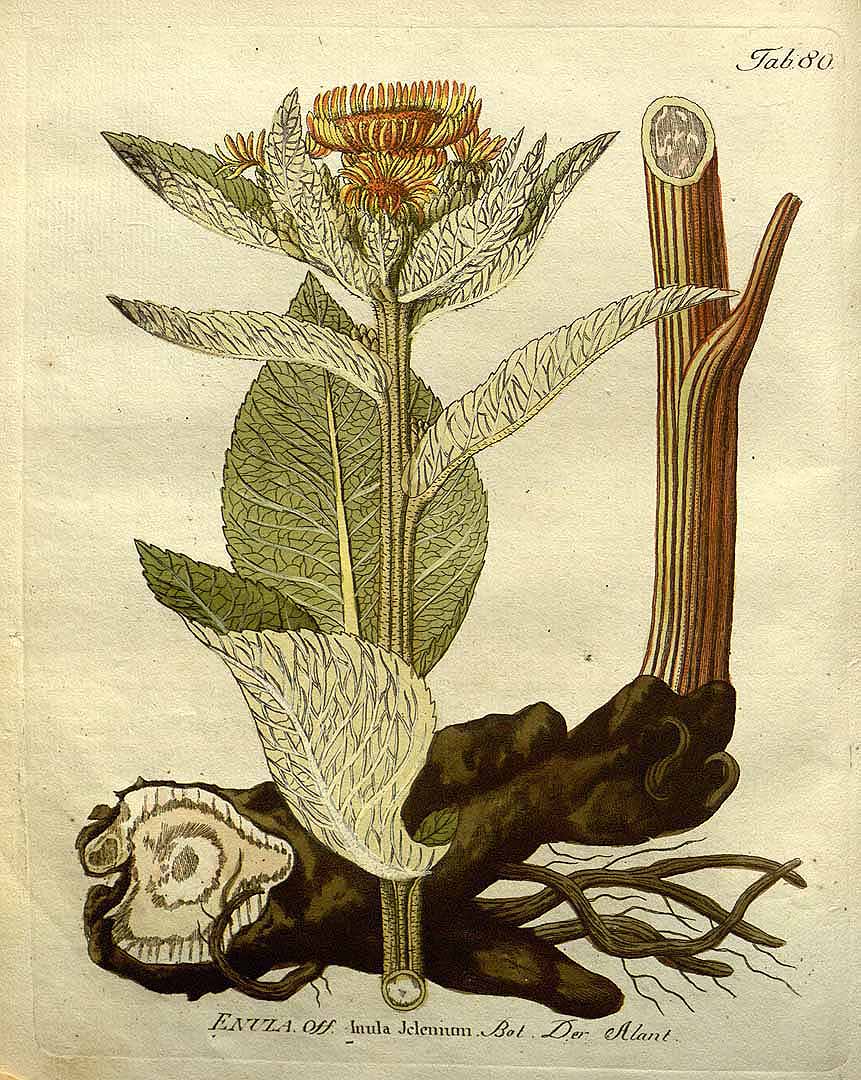 no HD illustration available (3)