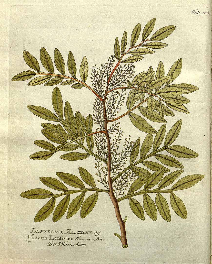 no HD illustration available (3)