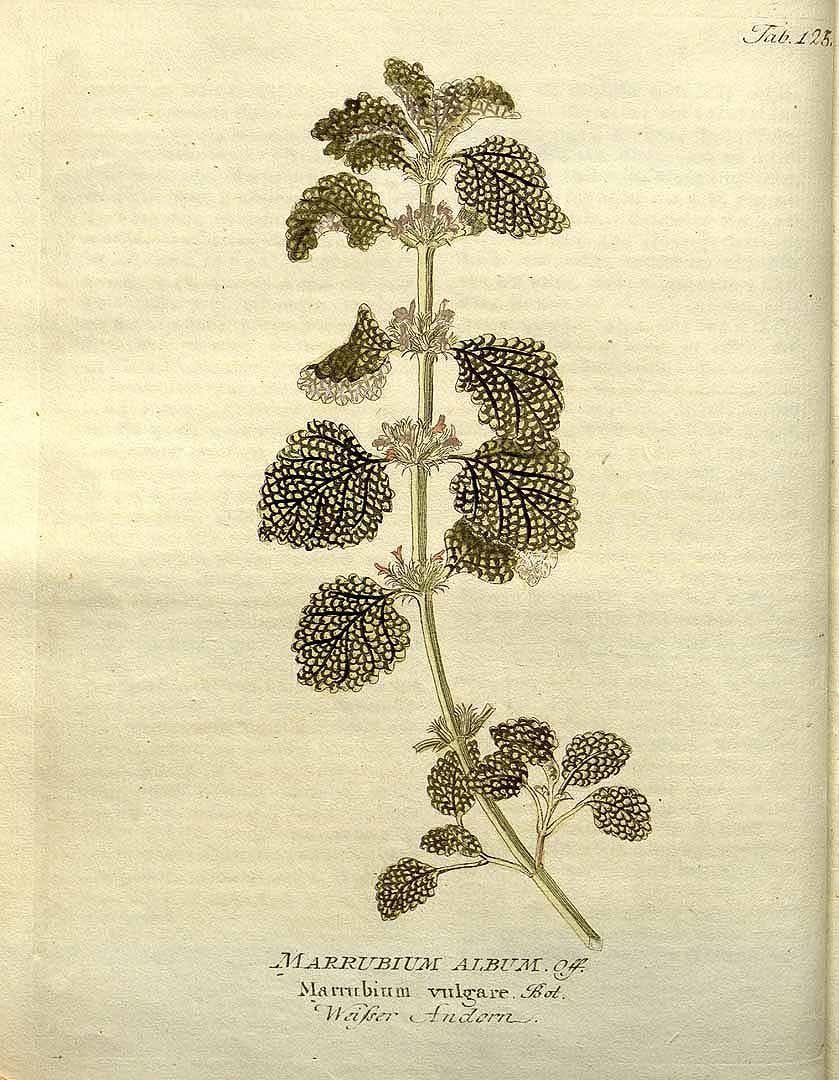 no HD illustration available (3)