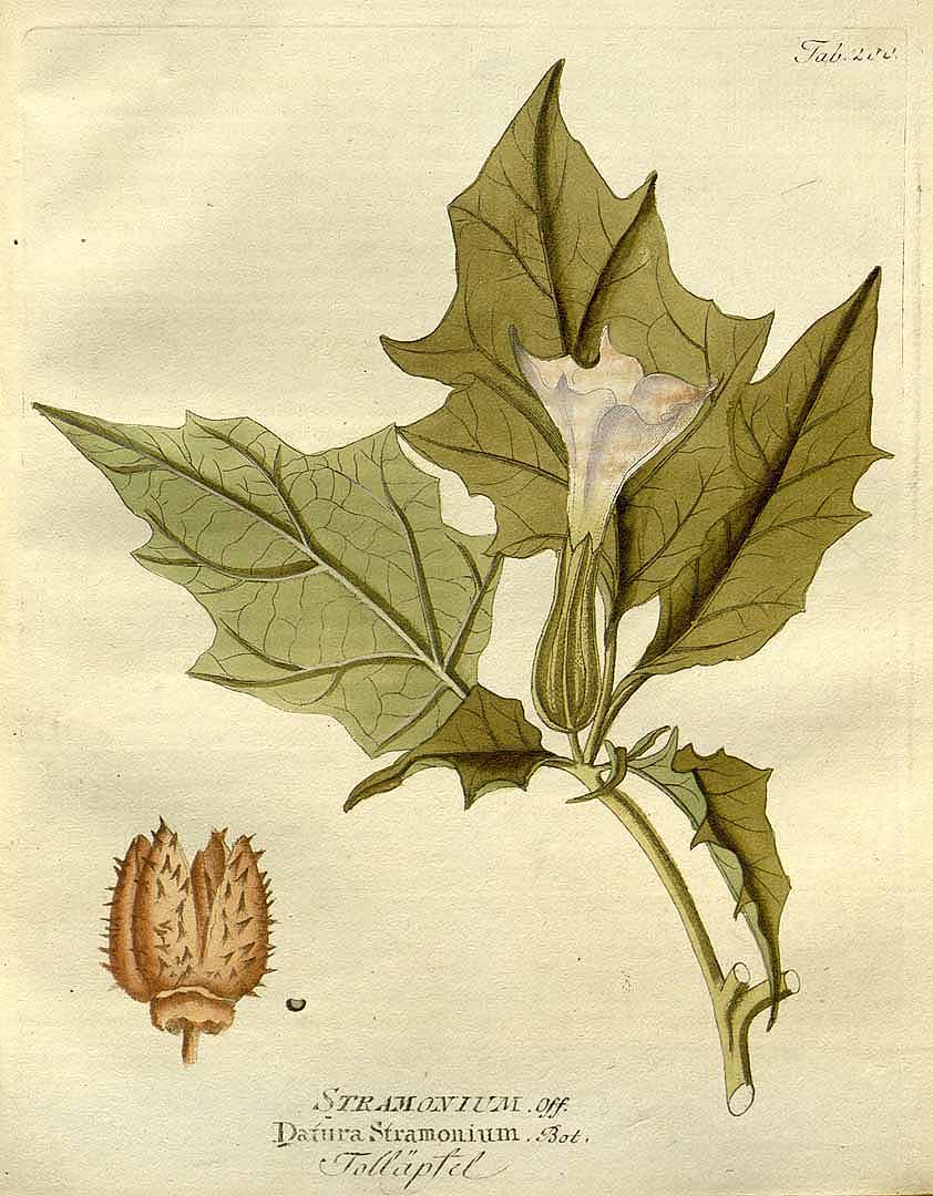 no HD illustration available (3)