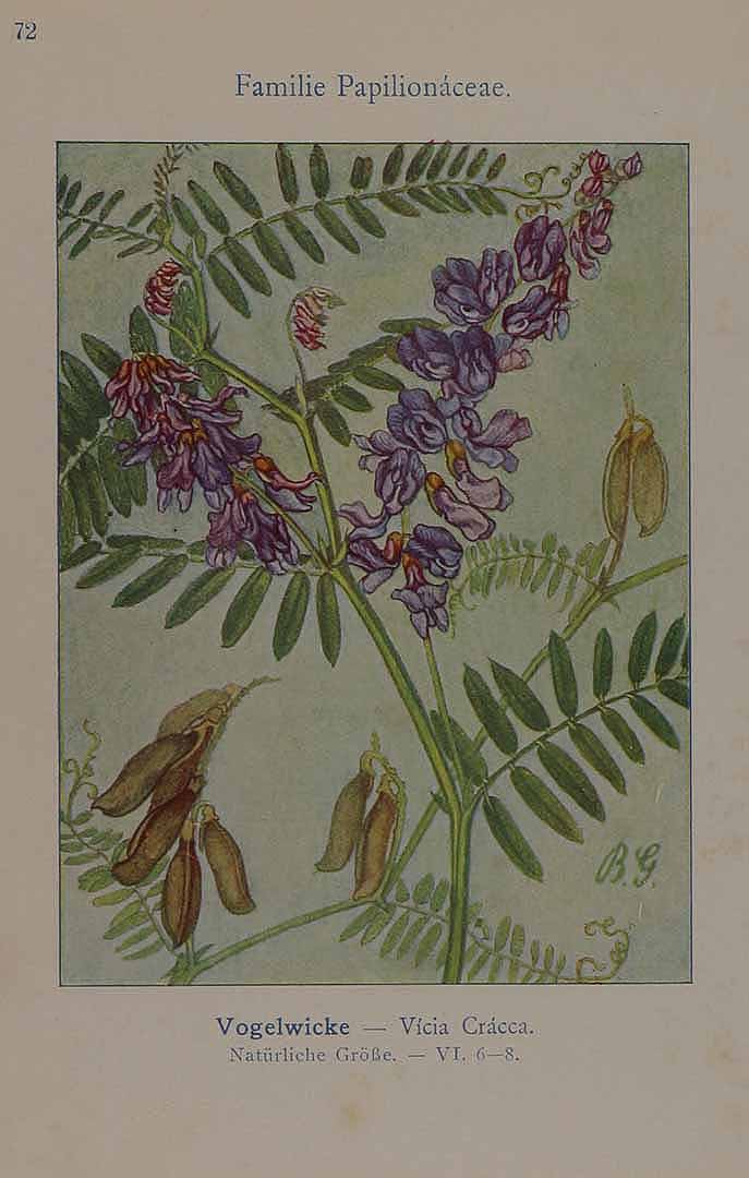 no HD illustration available (3)