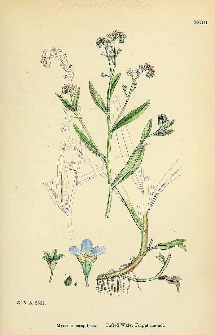 no HD illustration available (3)