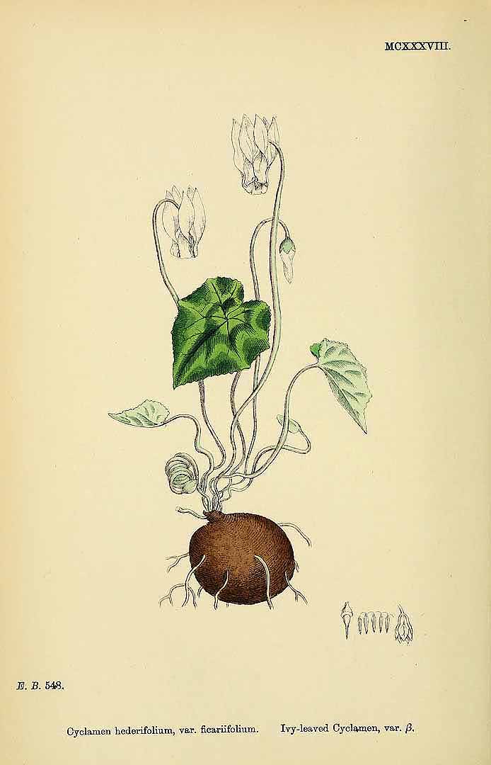 no HD illustration available (3)