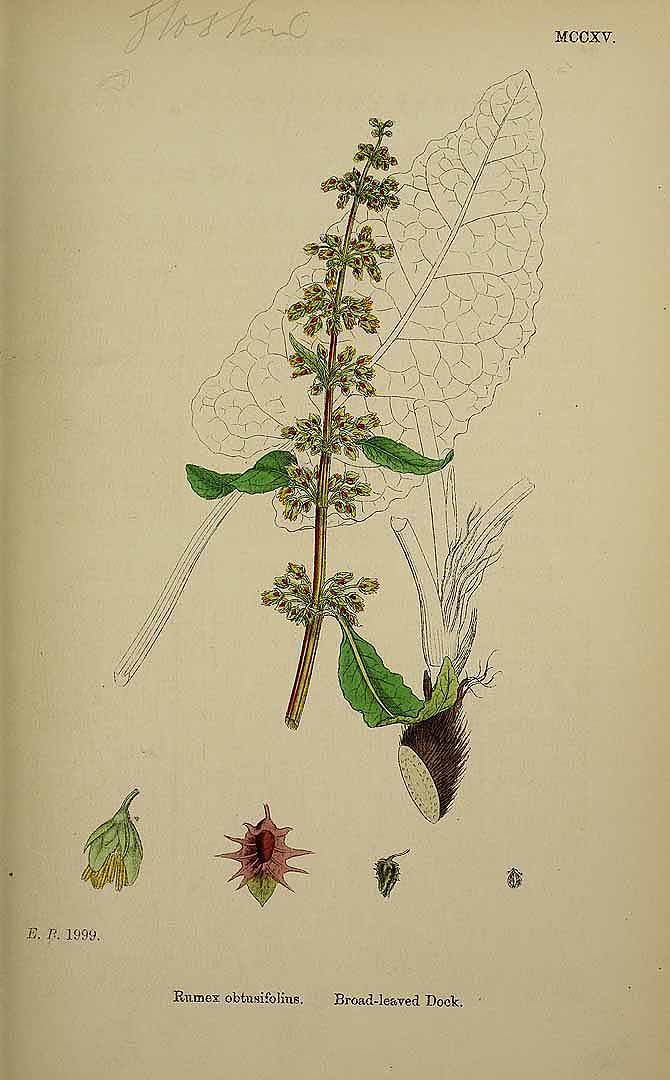 no HD illustration available (3)