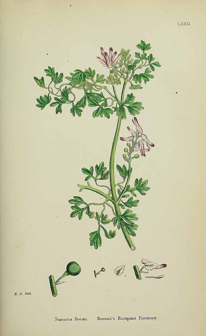 no HD illustration available (3)