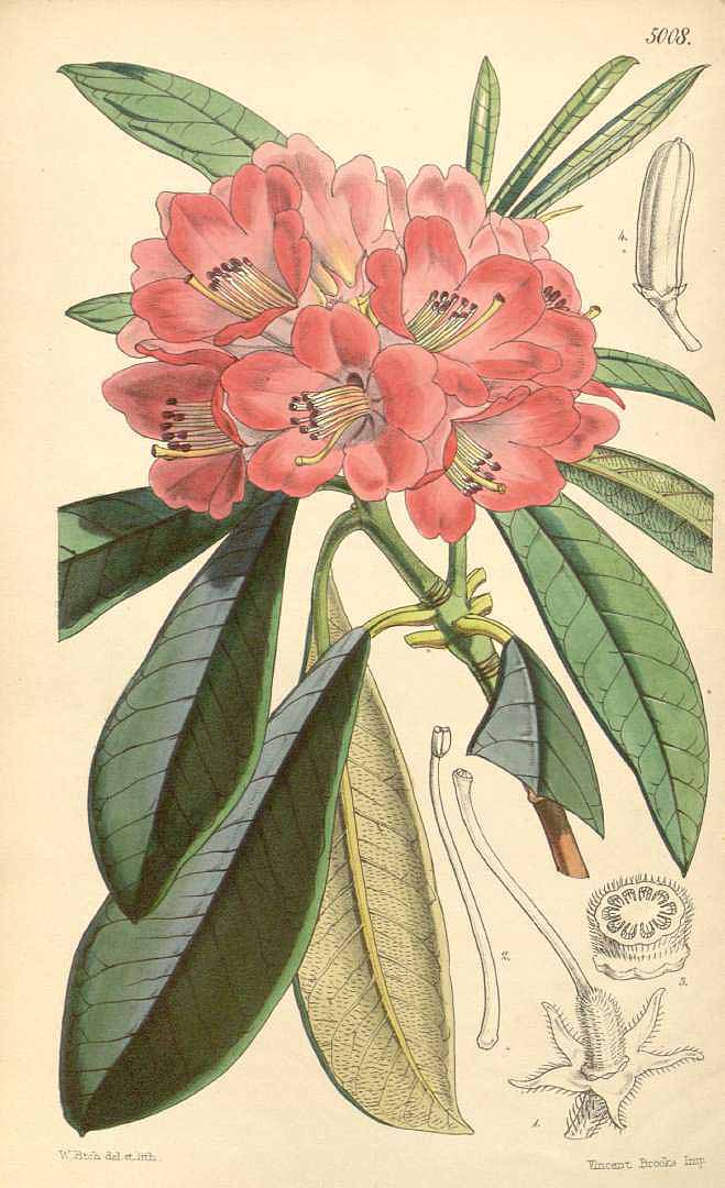 no HD illustration available (3)