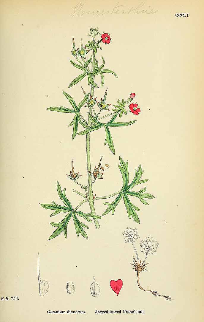 no HD illustration available (3)