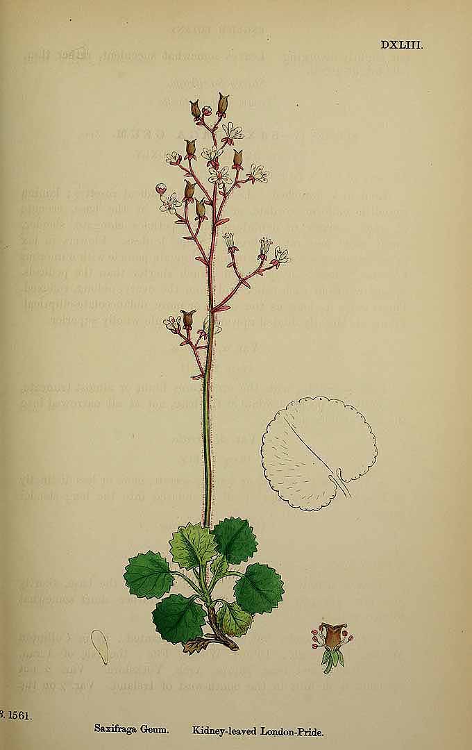 no HD illustration available (3)