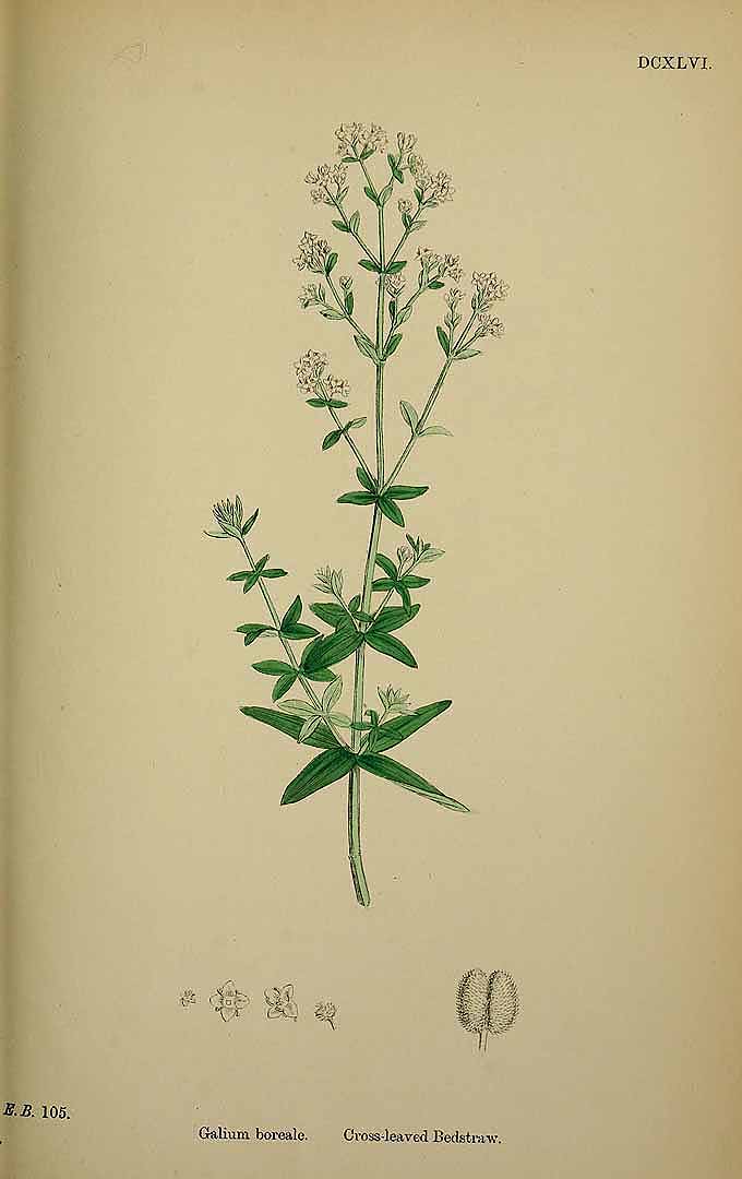 no HD illustration available (3)