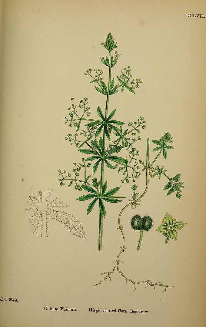 no HD illustration available (3)