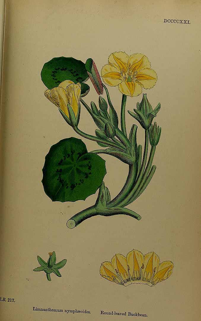 no HD illustration available (3)