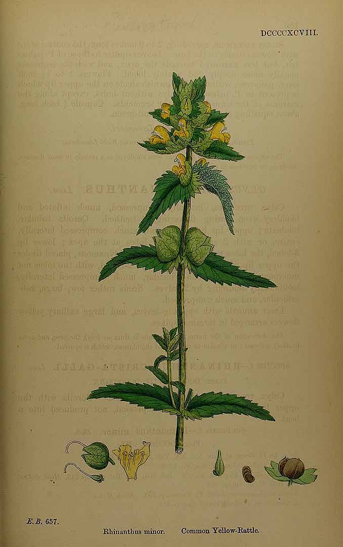 no HD illustration available (3)