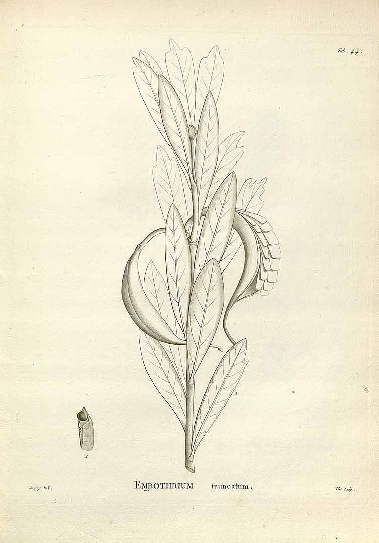 no HD illustration available (3)