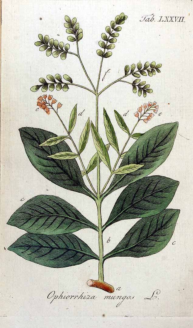 no HD illustration available (3)