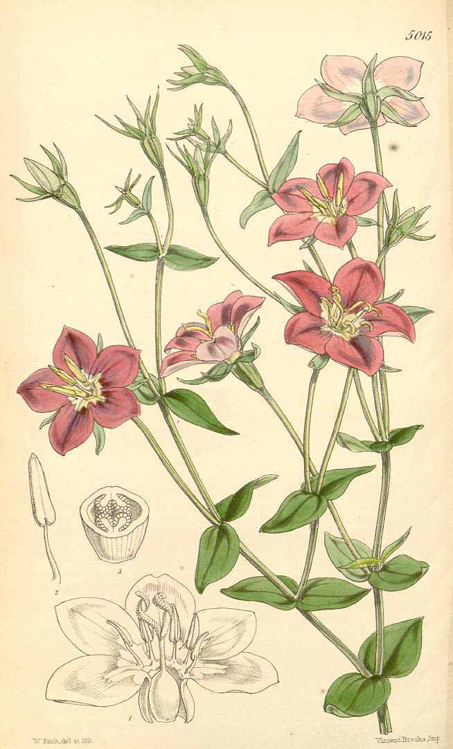 no HD illustration available (3)