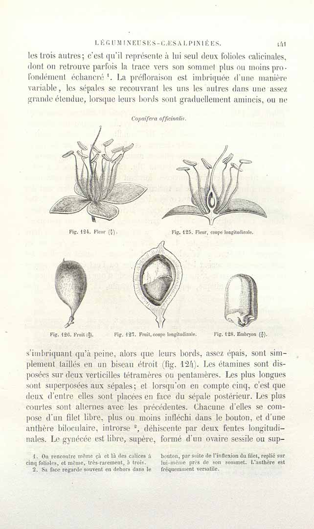 no HD illustration available (3)