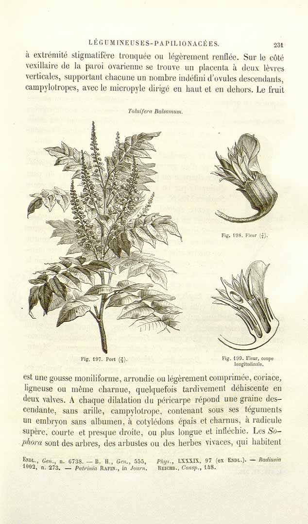 no HD illustration available (3)