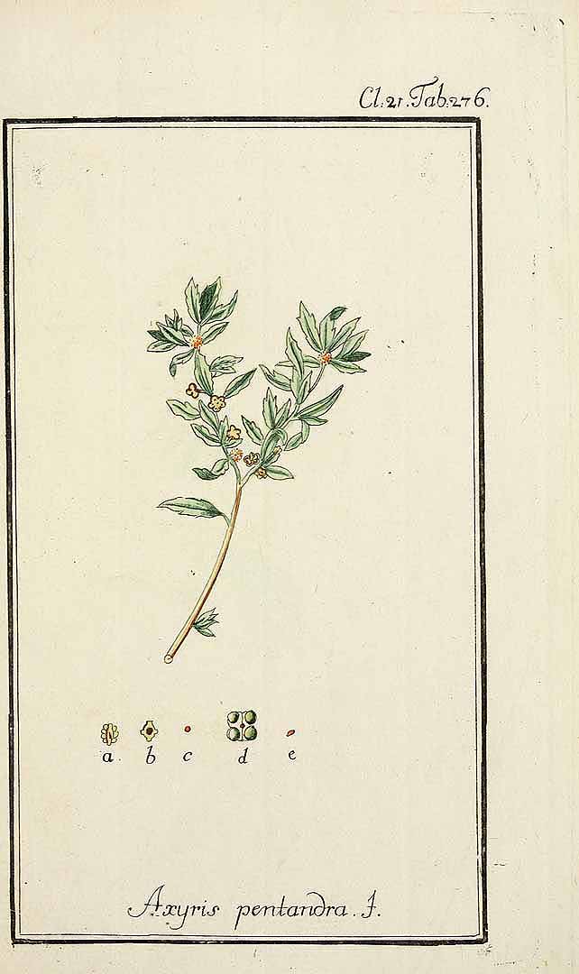 no HD illustration available (3)