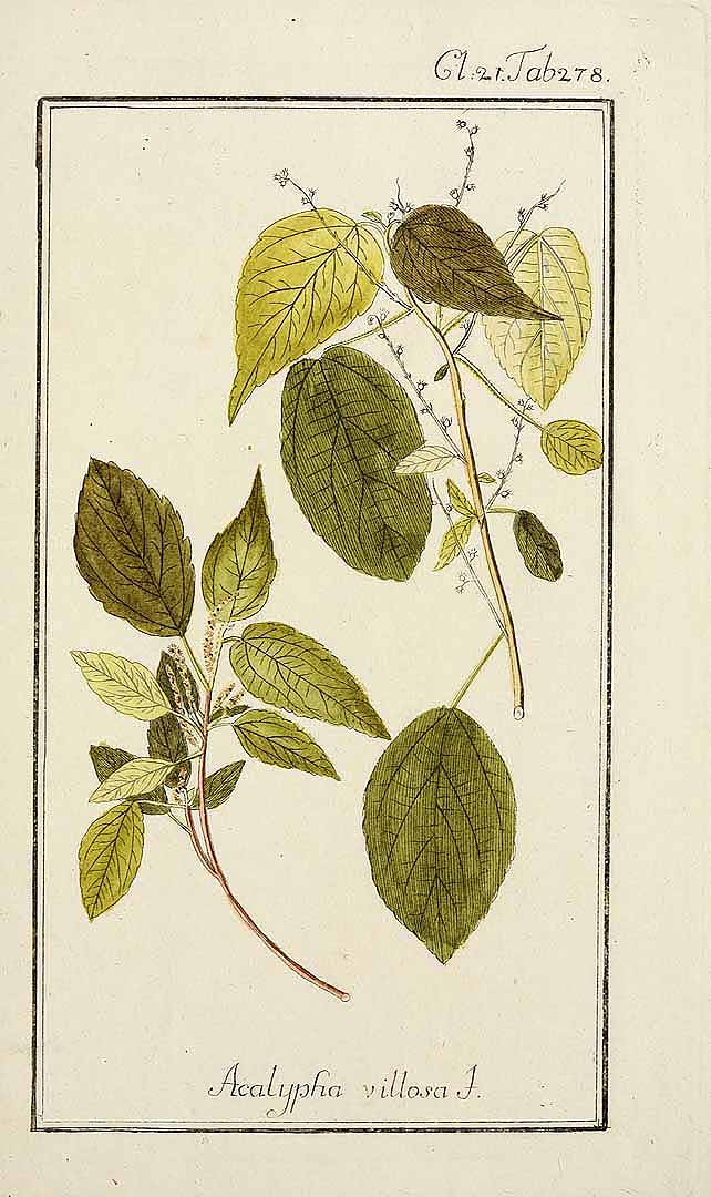 no HD illustration available (3)