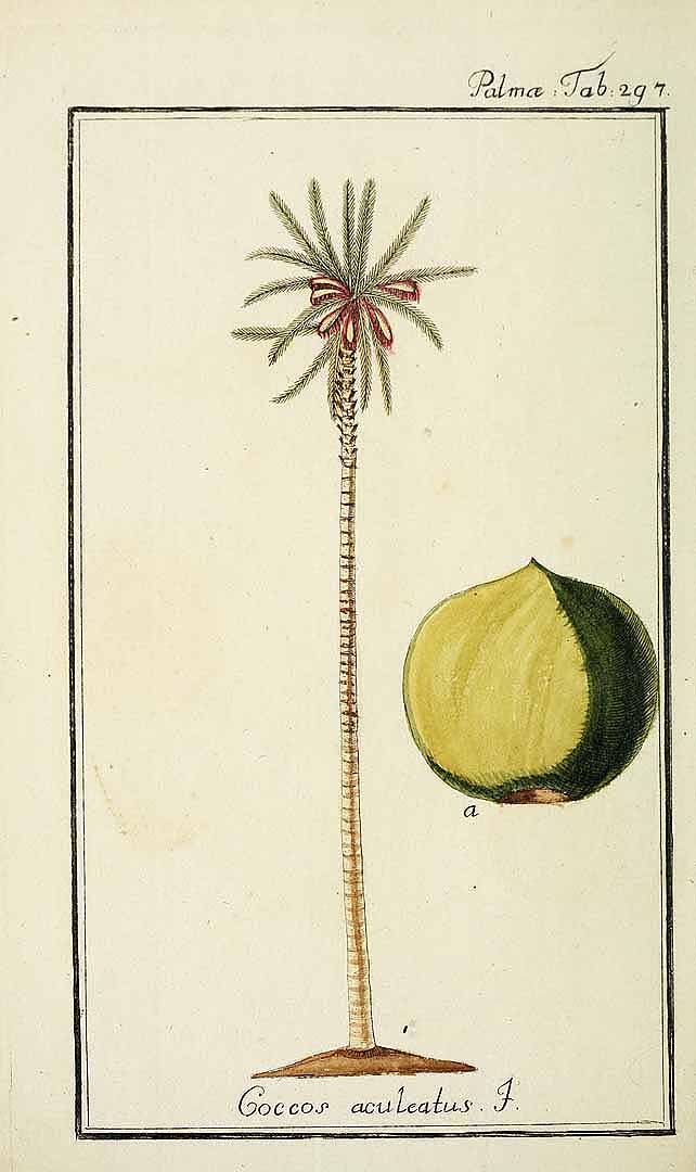 no HD illustration available (3)