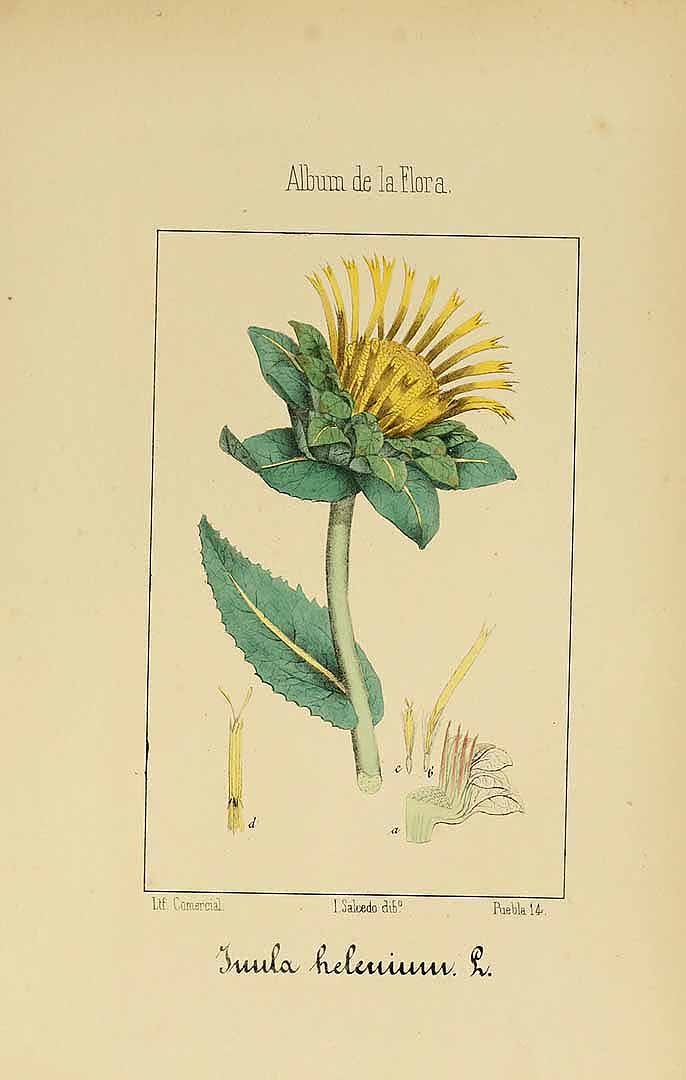 no HD illustration available (3)