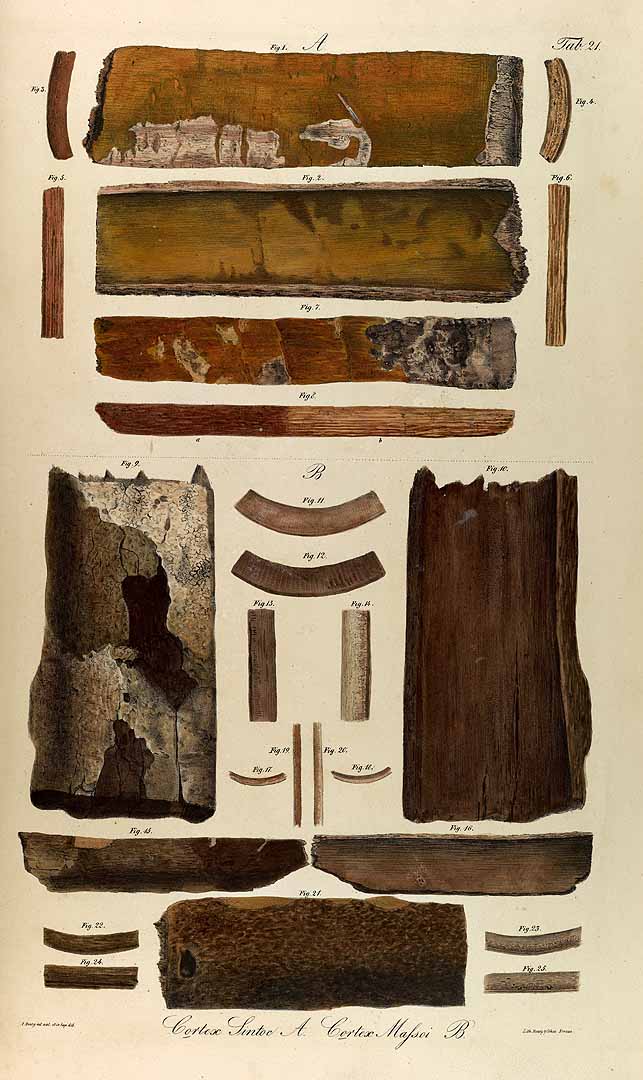 no HD illustration available (3)