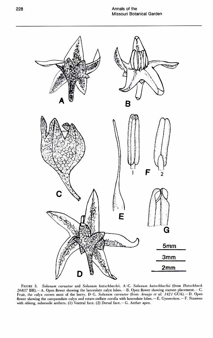 no HD illustration available (3)