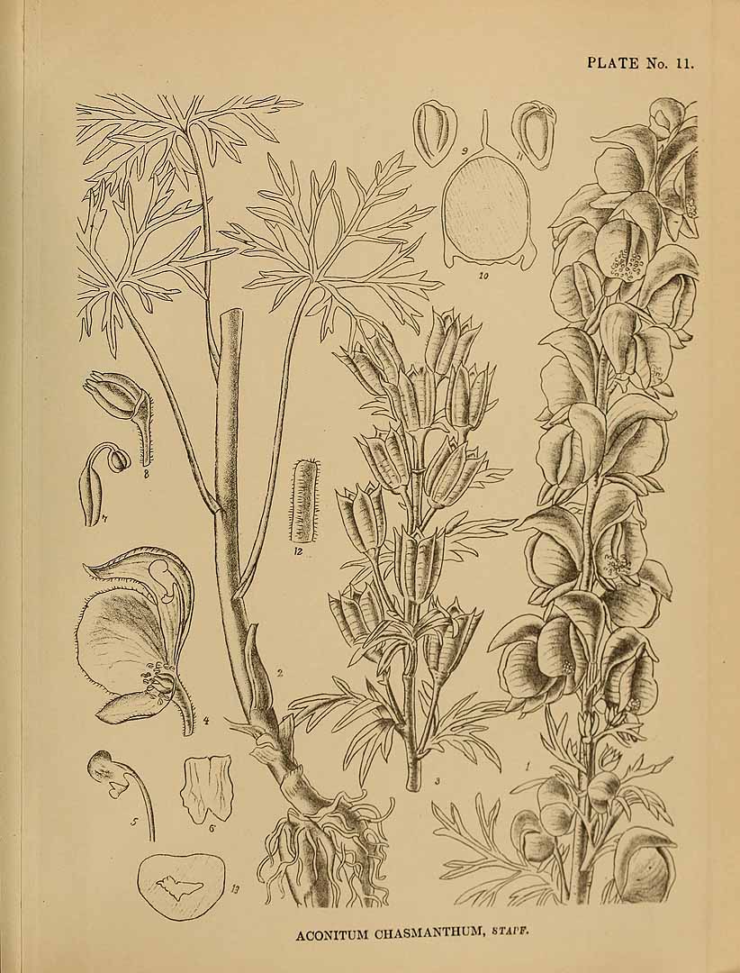 no HD illustration available (3)