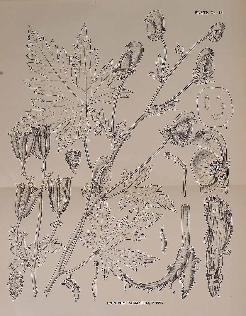 no HD illustration available (3)