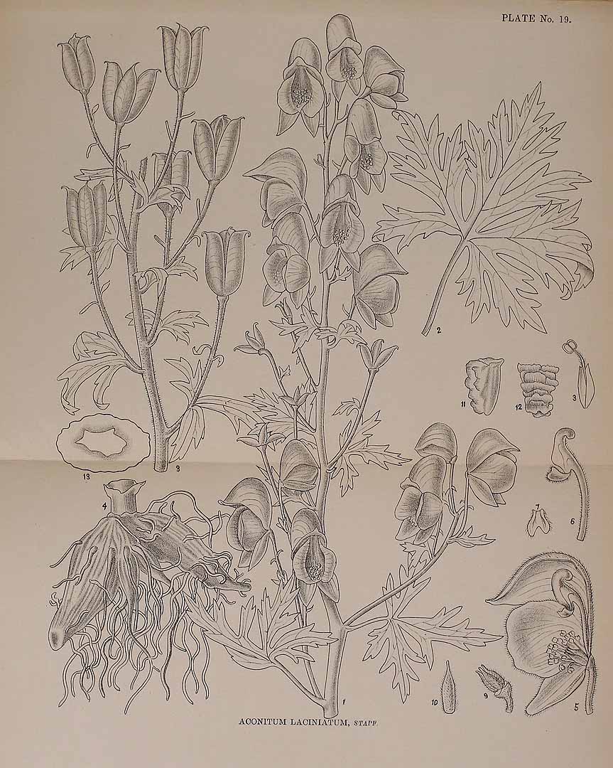 no HD illustration available (3)